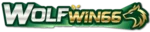 WOLFWIN66S เว็บตรง ทางเข้า สมัคร ฝากถอน 2026